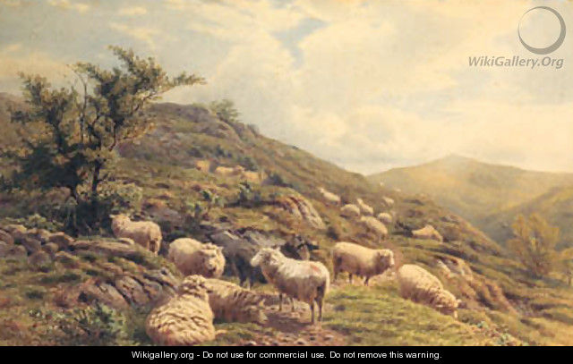 Sheep grazing in a Hilly Landscape - Henry Birtles