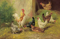 A cockerel and chickens in a farmyard - Henri Schouten