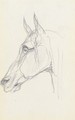 Tete de cheval - Henri De Toulouse-Lautrec