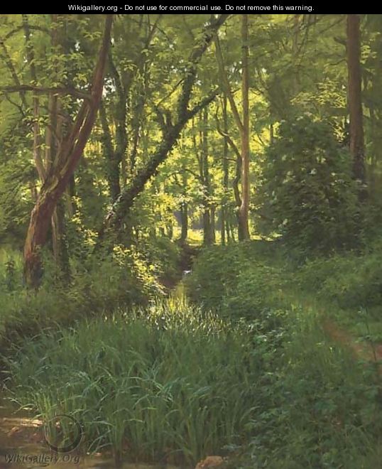 A woodland stream - Henri Biva