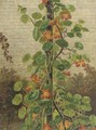 Flowering Oostindische kers - Hendrik Willem Mesdag