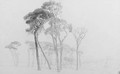 Umbrella pines in the Campagna near Rome, Italy - Harry John Johnson