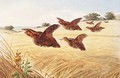A Covey of Partridge in flight over a Field of Barley - Henry Bright