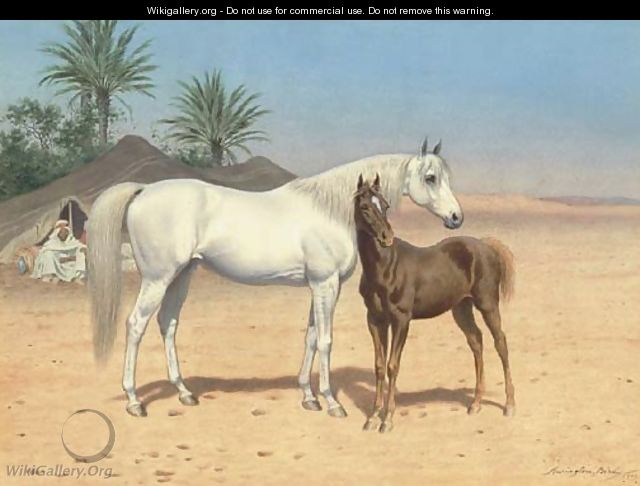 Arab horses in the desert - Harrington Bird