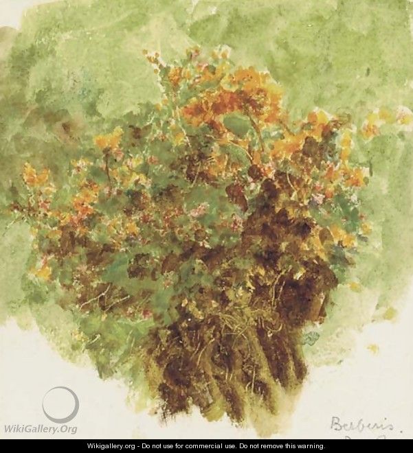 Study of berberis sunshine - Helen Mary Elizabeth Allingham, R.W.S.