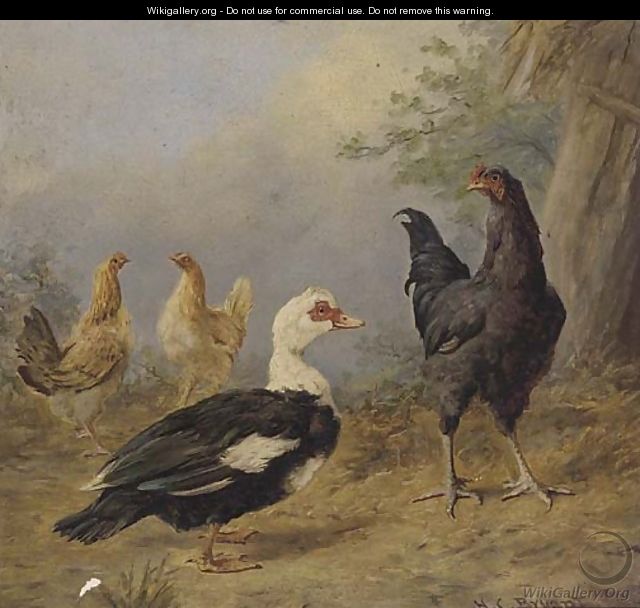 A cock with hens and duck - Henry Charles Bryant