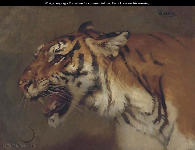 Tigre rugissant - Gustave Surand