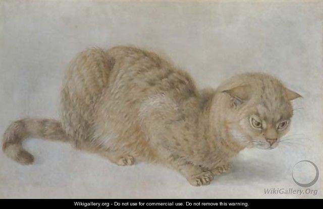 A crouching cat - Hans Hoffmann