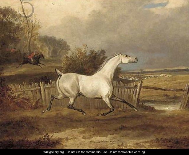 A grey in a paddock with a hunt beyond - Francis Calcraft Turner