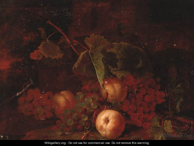 Grapes, peaches with vine leaves on a bank - (after) Tommaso Salini (Mao)