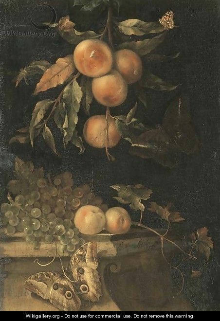 A still life with peaches and butterflies on a ledge - (after) Willem Van Aelst