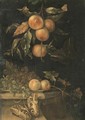 A still life with peaches and butterflies on a ledge - (after) Willem Van Aelst