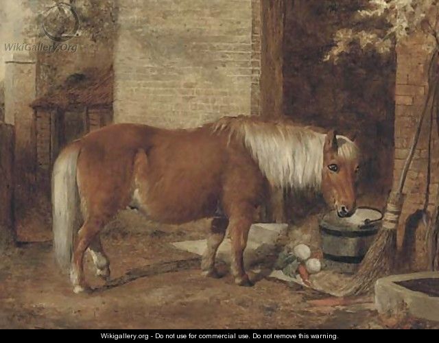 A pony in a stable yard - (after) William Snr Shayer