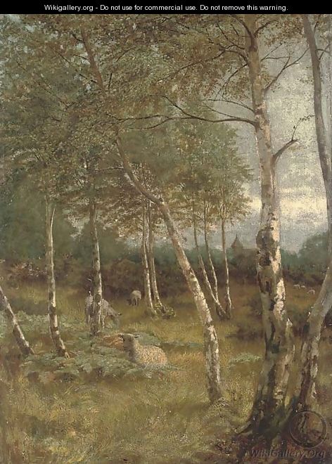 Sheep grazing among silver birch trees - (after) John Theodore Heins