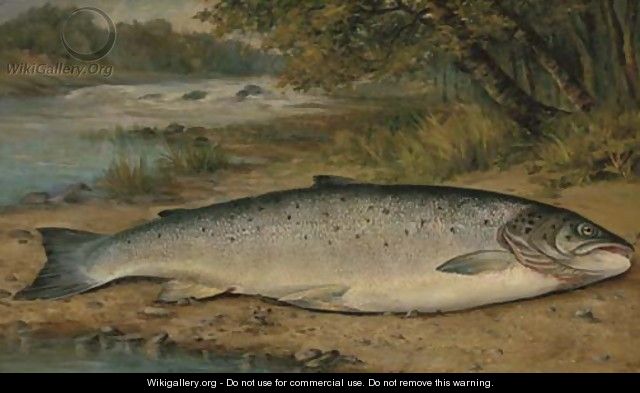The catch of the day - (after) Thomas G. Targett