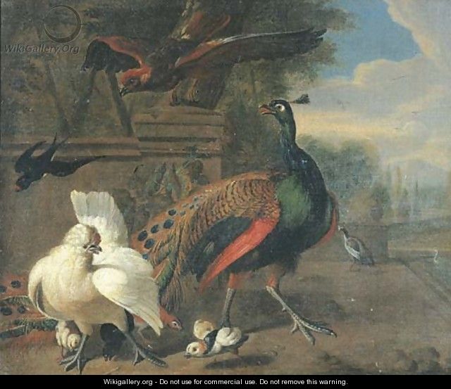 A peacock, a white hen and chickens - (after) Melchior De Hondecoeter