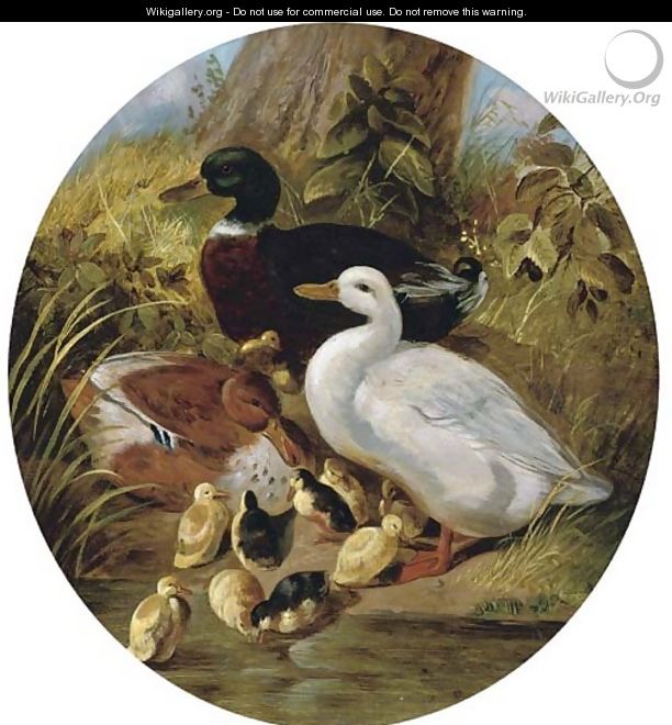 The bank of the duck pond - (after) John Frederick Herring