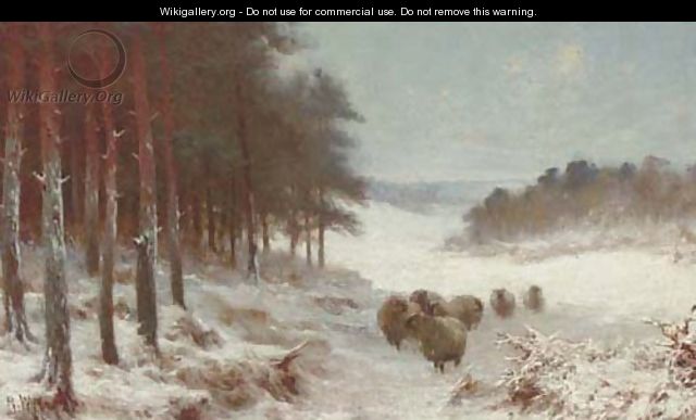 Sheep in a snowy landscape - (after) Joseph Farquharson