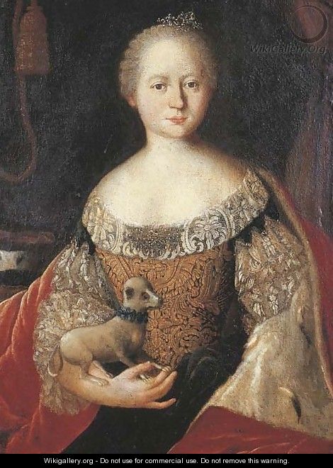 Portrait of a lady - (after) Louis De Silvestre