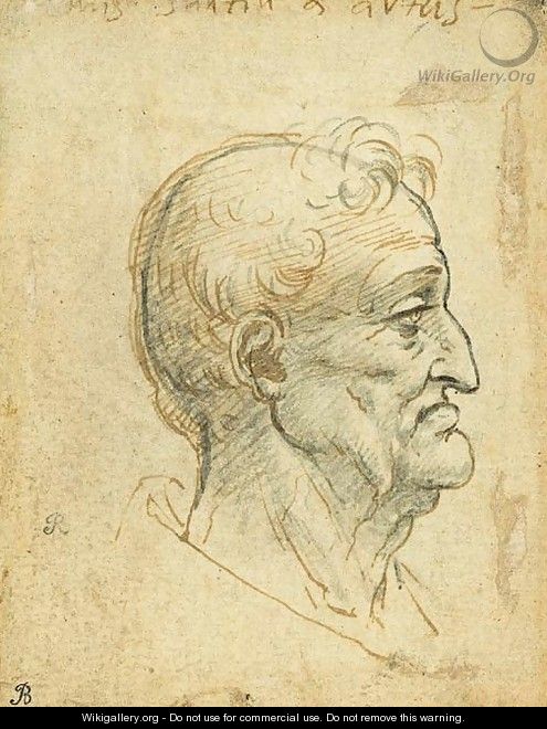 The head of an old man in profile to the right - (after) Leonardo Da Vinci