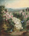 An extensive spring landscape with heather in bloom and butterflies - George Lucas