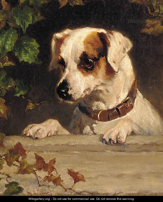 An inquisitive terrier - George Holmes