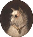 A terrier - George Armfield