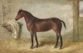 A bay hunter in a stable - George Earl