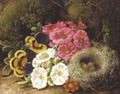 Primulas and a bird's nest on a mossy bank - George Clare