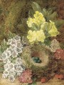 May blossom, primulas, berries, and a bird's nest with eggs, on a mossy bank - George Clare