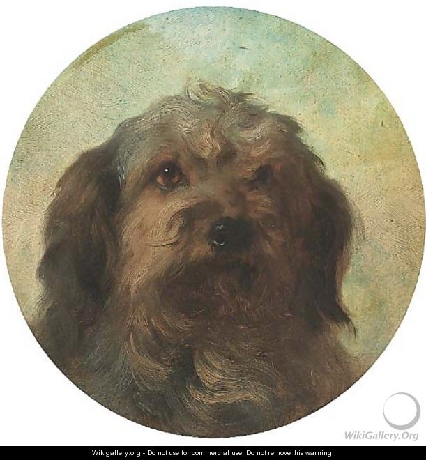 The head of a collie - George Earl