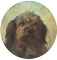 The head of a collie - George Earl