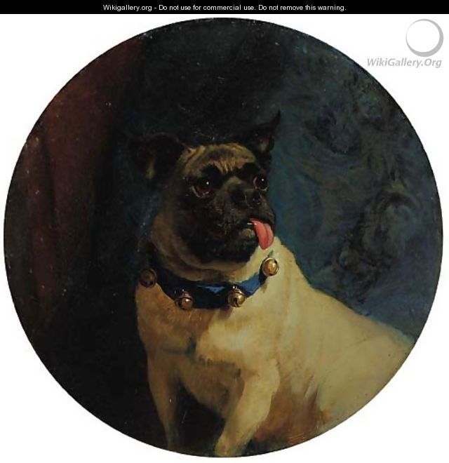 Pippin, a Pug dog with a Freemason collar - George Earl