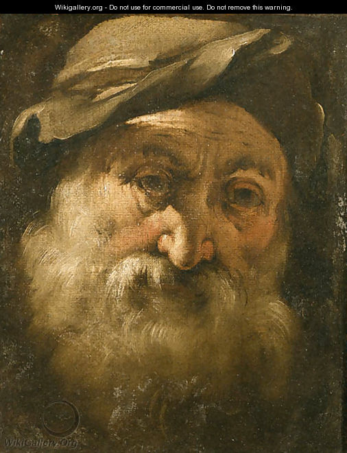 Head of a bearded old Man - Genoese School