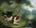 Spaniels putting up a Duck - George Armfield
