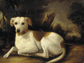 A whippet in a wooded landscape - French School