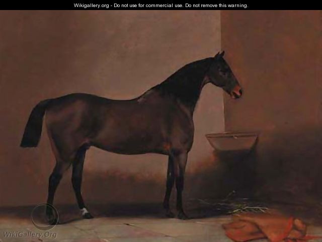 A bay hunter in a stable - G. W. Miller