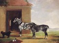 Two dapple grey Carriage Horses with Dogs outside a Stable - G. W. Miller