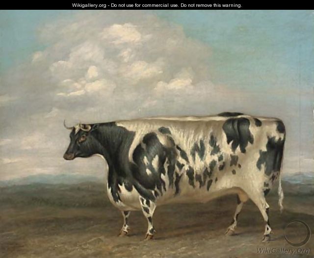 A prize bull - G.B. Newmarch