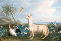 A Lama, a Dodo and other exotic Birds in a Tropical Landscape - French School