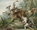A stag attacked by hounds - French School
