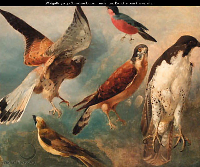 Studies of Birds - French School