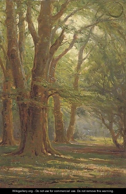 A sunlit forest - Frederik Golden Short
