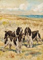 Champion Winning Number of Solway, Champion Dry Toast and Champion Nimble of Hamsey, three springer spaniels in a landscape - Frederick Thomas Daws