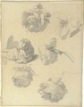 Studies of six roses - French Or Dutch School