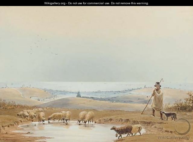 A shepherd and his flock on the South Downs above Brighton - Frederick William Woledge