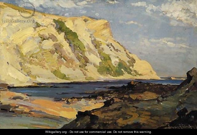 Coastal Cliffs - Franz Bischoff