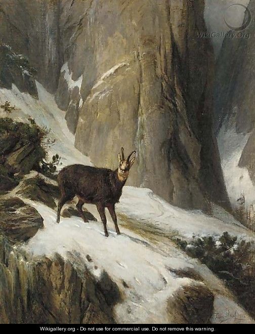 Chamois in a mountain landscape - Franz Von Pausinger