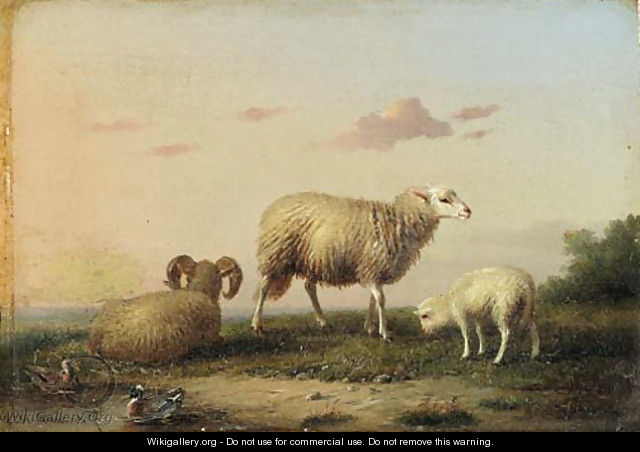A family of sheep - Franz van Severdonck
