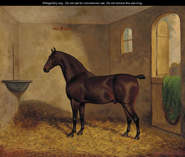Lord Bath, a bay horse in a stable - Frederick Albert Clark